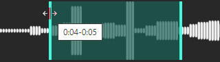 The audio timeline showing a section highlighted for redaction.