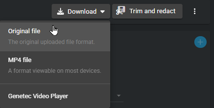 Le menu Télécharger un fichier avec l'option de format de fichier d'origine sélectionnée.